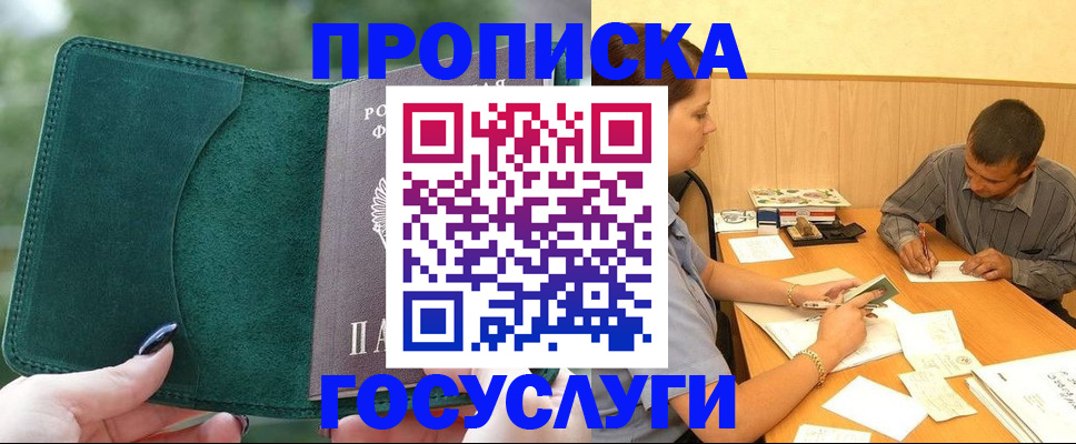 найти адрес прописки в Камышине